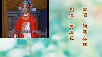 越剧《打金枝 闯宫》