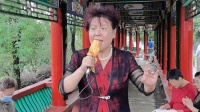 豫剧《香魂女》 环环她低头无言轻轻离去