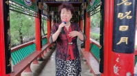 豫剧《倒霉大叔的婚事》 紧走慢走四里半