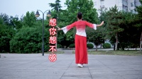 广场舞《想你想不够》背面演示 简单易学又