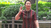 豫剧《对花枪》选段