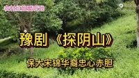 豫剧《探阴山》保大宋锦华裔忠心赤胆下载