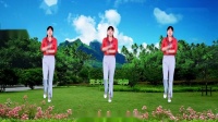 DJ广场舞《心会跟爱一起走》演示分解