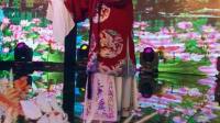 晋剧《卢花》