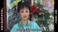 庐剧《王华买父》宽屏欣赏版 5 共六集