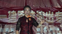 河南坠子《十个大鸡蛋》