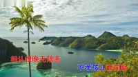 淮剧《团圆之后》选段 一声叫爹喉哽咽 卡拉