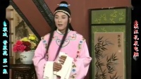 庐剧《苦菜花》宽屏欣赏版 1 共六集