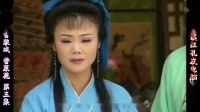 庐剧《苦菜花》宽屏欣赏版 3 共六集