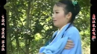 庐剧《苦菜花》宽屏欣赏版 5 共六集