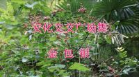 安化艾艾广场舞《金包银》32步