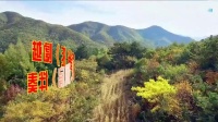 越剧《孔雀东南飞洞房》