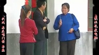 庐剧现代戏《呆瓜唱门歌》宽屏欣赏版 共一