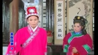 庐剧《人间真爱姐弟情》宽屏欣赏版 3 共四