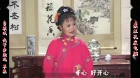 庐剧《秃子卖烧鸡》宽屏欣赏版 共一集