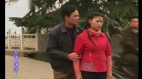 庐剧现代戏《金钱的诱惑》宽屏欣赏版 1 共