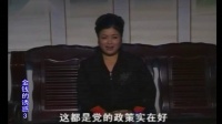 庐剧现代戏《金钱的诱惑》宽屏欣赏版 3 共