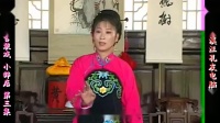 庐剧《小辞店》宽屏欣赏版 3 共六集