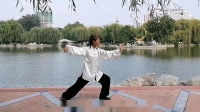传统杨式太极拳85式完整演练下载