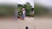 吕芳广场舞《格桑花》下载