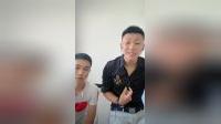 二人转小帽《杨姑娘随礼难》