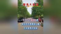 联花落子《相亲大实话》