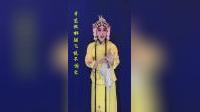 楚剧《蔡鸣凤》选段 回黄州