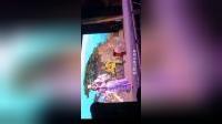 莆仙戏《白蛇传 偷盗仙草》
