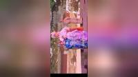 莆仙戏《白蛇传 水漫金山》