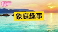 象庭趣事