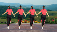 广场舞《谁不是红尘过客》五味俱全掺杂喜怒