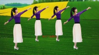 燕子广场舞《醉过之后才知愁》背面演示