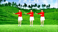 广场舞《一首想家的歌》歌曲感人催泪