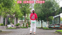 广场舞《后海酒吧》新版教学