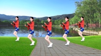 DJ版广场舞《酒醉的蝴蝶》64步流行舞附教学