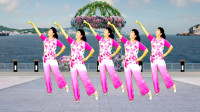 DJ广场舞《想你的时候问月亮》韵律优美