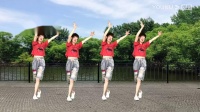 广场舞新歌DJ《爱被冷风吹》伤感好听