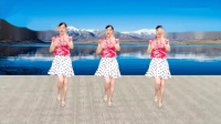 DJ广场舞《为你犯了错》正面演示