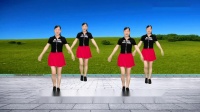 动感DJ广场舞《跳的不好开心就好》好听好看