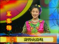 东北二人转正戏《包公斗国舅》下载