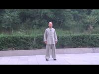 正宗杨氏太极拳85式教学精解下载