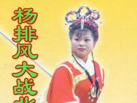 大鼓书《杨排风大战北国》全集