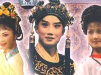 扬剧连台本戏《狸猫换太子》全本下载