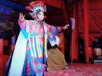 湖南花鼓戏《杨家将》系列合集刘伏英个人向唱段合集下载