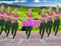 广场舞《伤离别》旋律动听人陶醉