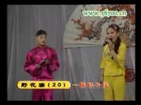 东北二人转《野花骚》第21集下载