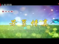 沪剧《芳草情真》全剧下载