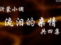 沂蒙小调《流泪的亲情》