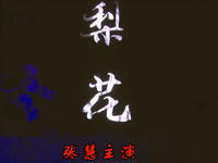 豫剧《梨花》高清全集