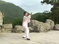 杨氏太极拳85式下载
